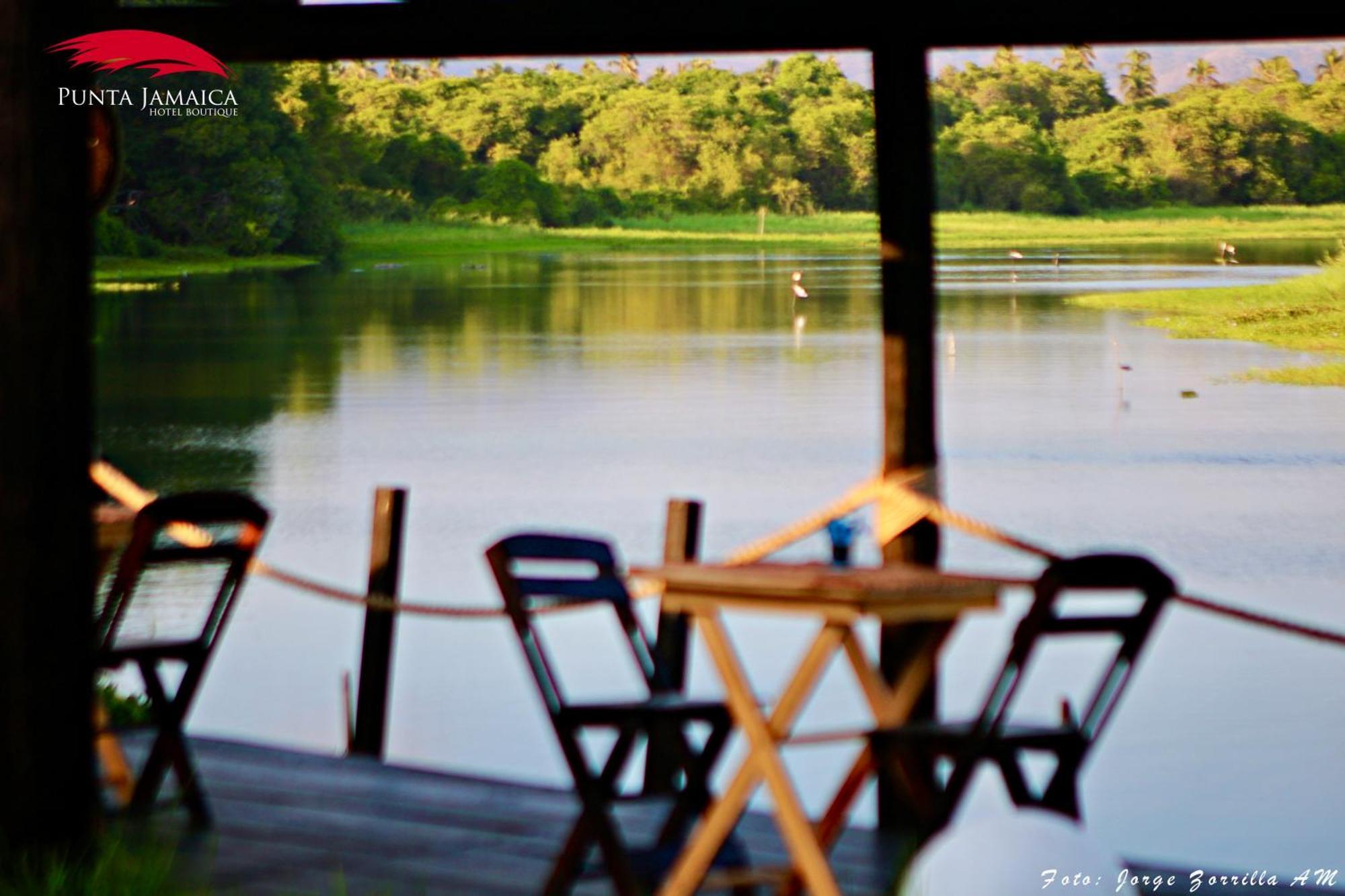 Hotel Boutique Punta Jamaica Akapulko Dış mekan fotoğraf